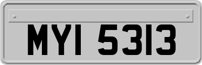 MYI5313