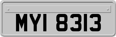 MYI8313