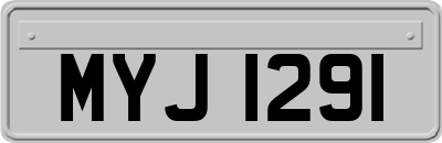 MYJ1291