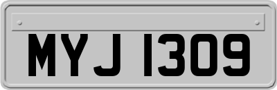 MYJ1309
