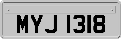MYJ1318