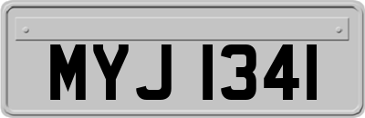 MYJ1341