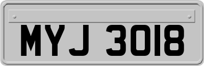 MYJ3018