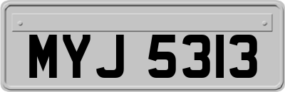 MYJ5313