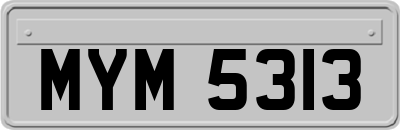 MYM5313