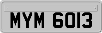 MYM6013