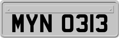 MYN0313