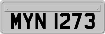 MYN1273