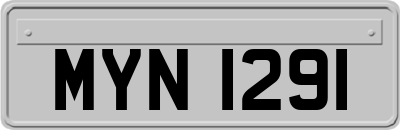 MYN1291