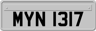 MYN1317