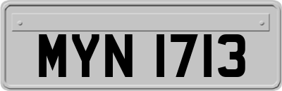 MYN1713