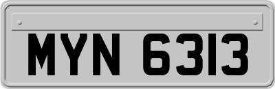 MYN6313