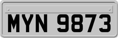 MYN9873