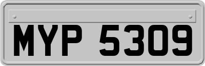 MYP5309