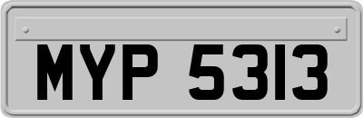 MYP5313