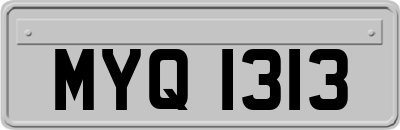 MYQ1313