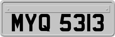 MYQ5313