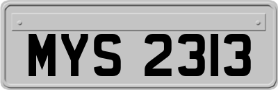 MYS2313