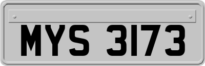 MYS3173