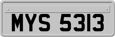 MYS5313