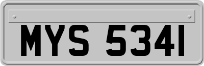 MYS5341