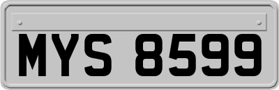 MYS8599