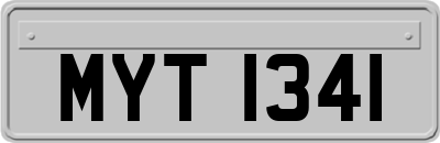 MYT1341