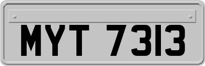 MYT7313