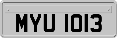 MYU1013