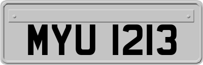 MYU1213