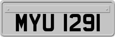 MYU1291