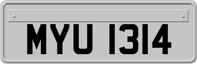 MYU1314