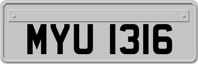 MYU1316