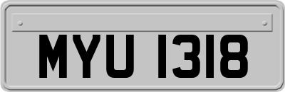 MYU1318