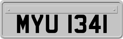 MYU1341