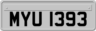 MYU1393