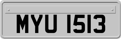MYU1513