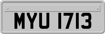MYU1713