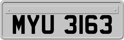 MYU3163