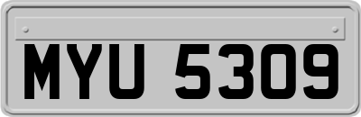 MYU5309