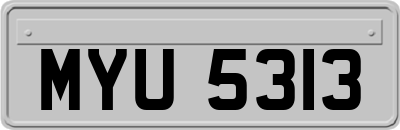 MYU5313