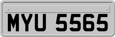 MYU5565