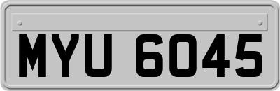 MYU6045