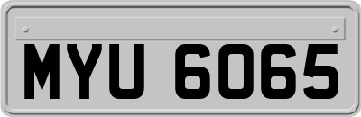 MYU6065