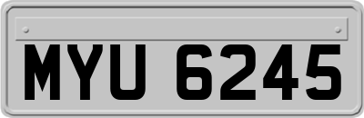 MYU6245