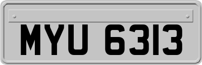 MYU6313