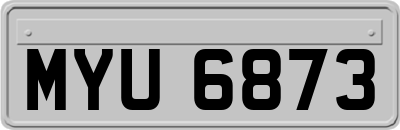 MYU6873