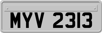 MYV2313