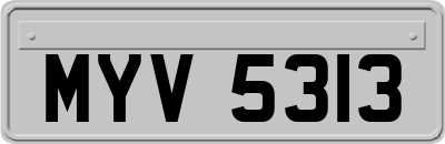 MYV5313