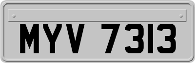 MYV7313